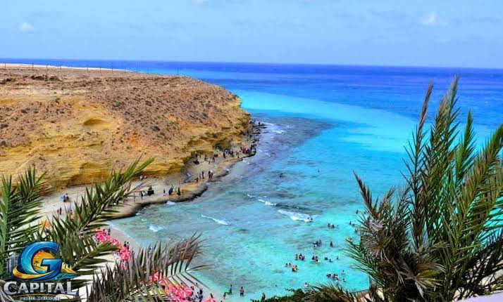 استيقظ على الفيروز: أفضل إطلالات شقق بورتو مطروح (Pool View vs Sea View)